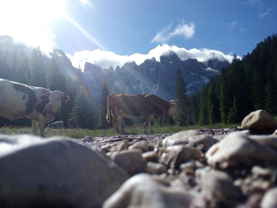 Rifugio Caltena Fiera Di Primiero Exterior foto