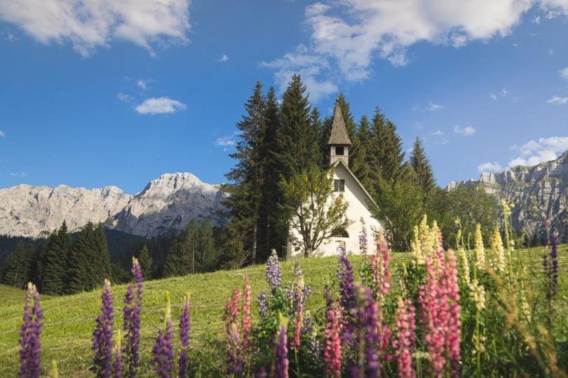 Rifugio Caltena Fiera Di Primiero Exterior foto